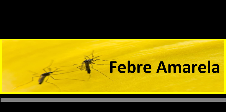 Febre amarela