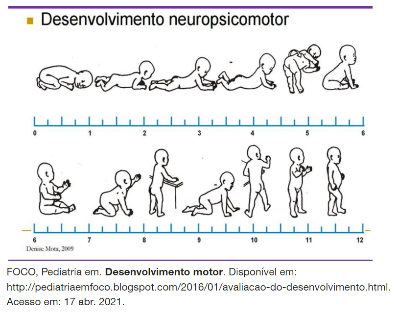Marcos Do Desenvolvimento Neuropsicomotor - RETOEDU